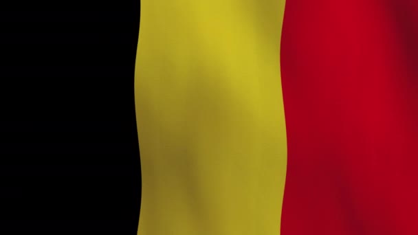Waving Belgium Flag Animation Background — Αρχείο Βίντεο