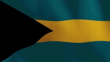 Waving Bahamas Flag Animation Background