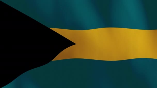 Waving Bahamas Flag Animation Background — Stock videók