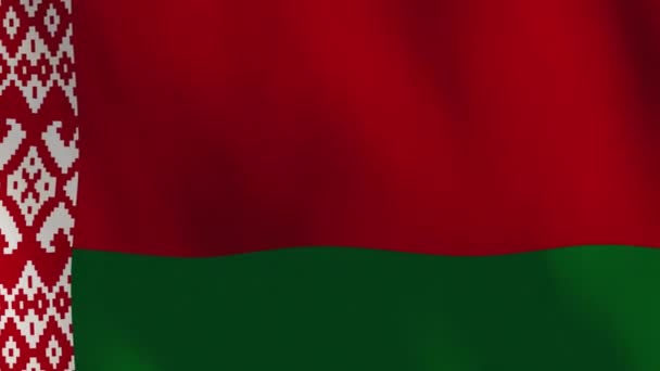 Waving Belarus Flag Animation Background — Stockvideo