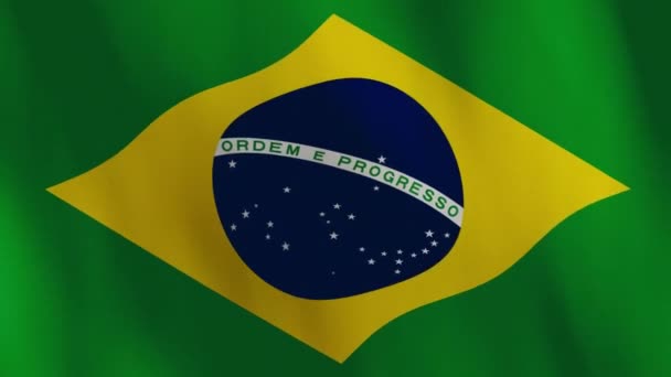 Waving Brazil Flag Animation Background — Stockvideo