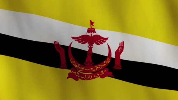 Waving Brunei Flag Animation Background — Vídeo de Stock