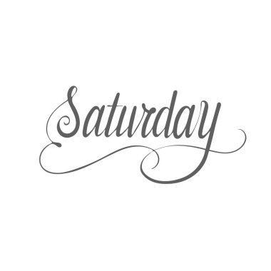 Saturday. Calligraphic isolated quote in black ink. Lettering hand drawing words. Vector illustration.