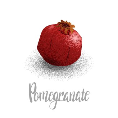 Nar, organik meyve, vejetaryenlik, bahçe vektör illüstrasyonundaki vitaminler, vektör parçacıkları, tahıl biçimi.