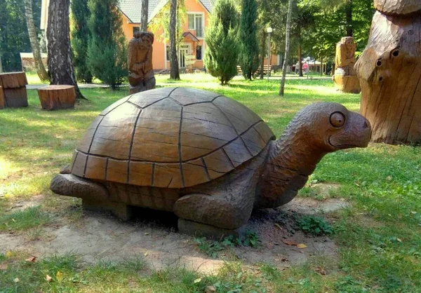 Khmil Nyk Oblast Winniza Ukraine Eine Hölzerne Schildkröte Park — Stockfoto