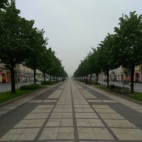Polonia Czestochowa Avenida Santa Virgen María — Foto de Stock