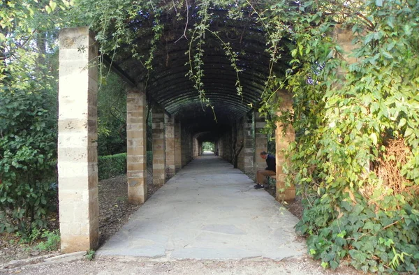 Greece Athens National Garden Tunnel Ivy — Stock Fotó