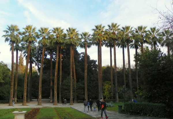 Grèce Athènes Jardin National Allée Des Palmiers — Photo