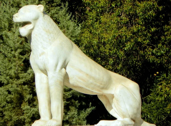 Griechenland Athen Pedion Areos Pantherskulptur Der Nähe Der Athener Säule — Stockfoto