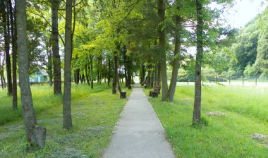 Ukrayna, Hoshiv, Kutsal Anavatanın Rahibeleri 'nin Kutsal Meryem Ana' nın Doğumu Manastırı, Manastır Bölgesi.
