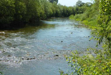 Ukrayna, Karpatya, Karpatya bölgesinde Svicha nehri