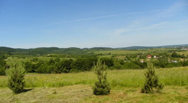 Ukraine Ivano Frankivsk Region Mountain Valley — Stockfoto