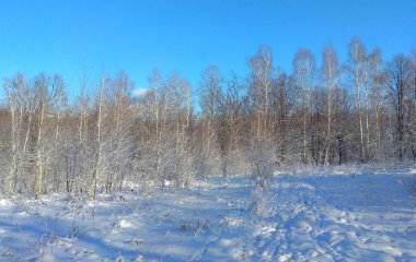 Ukrayna, İvano-Frankivsk bölgesi, Dolyna, güneşli bir günde kış doğası