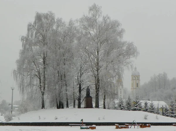 Ukraine Carpathians Dolyna Taras Shevchenko Monument Winter Park — Stock Photo, Image