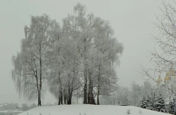 Ukraine Carpathians Dolyna Taras Shevchenko Monument Winter Park — Fotografia de Stock