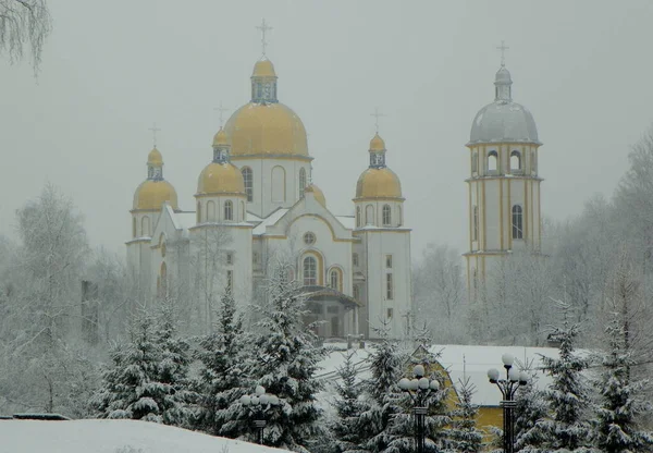Ukraine Carpathians Dolyna View Church Winter Day — Stock Photo, Image