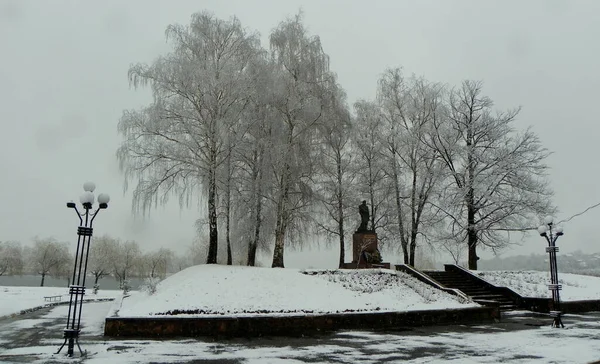 Ukraine Carpathians Dolyna Taras Shevchenko Monument Winter Park — Fotografia de Stock