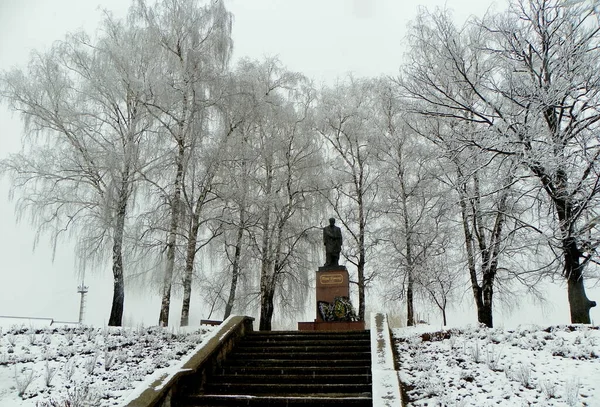 Ukraine Carpathians Dolyna Taras Shevchenko Monument Winter Park — Stock Photo, Image