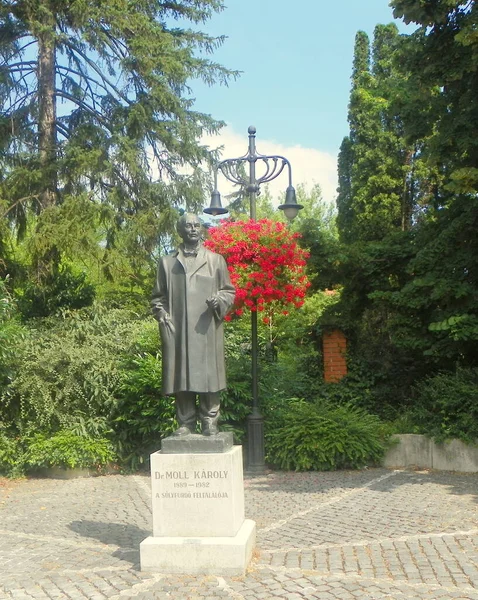 Hungary Heviz Monument Moll Karoly — Stock Fotó