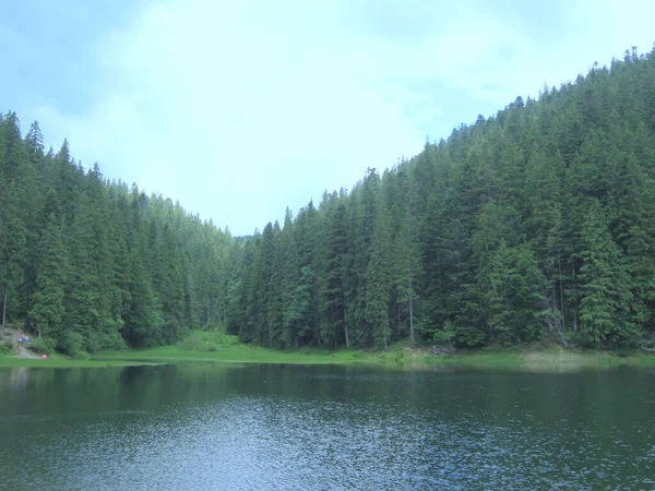 Ukraine Lake Synevir Nature View Lake — Fotografia de Stock