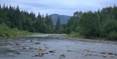 Ukrayna, Karpatlar, dağ nehri, kayalar ve doğa