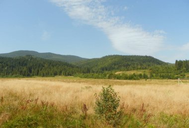 Ukrayna, Karpatlar, yüksek dağ manzarası