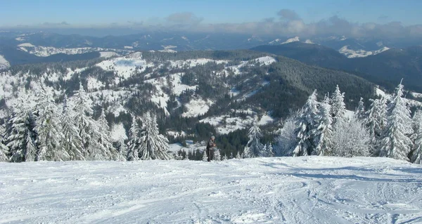 Ukraine Slavske Trostyan Mountain Winter Forest Highlands — Zdjęcie stockowe