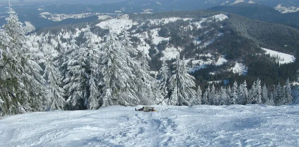 Ukrajina Slovanské Trostyjská Hora Zimní Les Vysočině — Stock fotografie