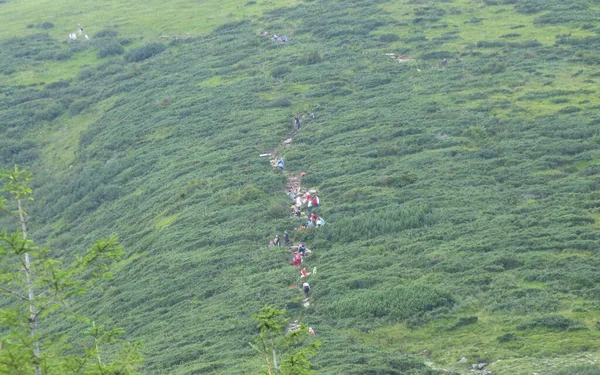 Ukraine Carpathians Chornohora Massif Alpine Road Mountain Goverla — Stock Photo, Image
