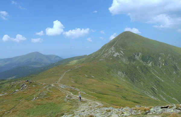 Ukraine Carpathians Alpine Path Mountain Hoverla Mountain Side Brebeneskul — Stock fotografie