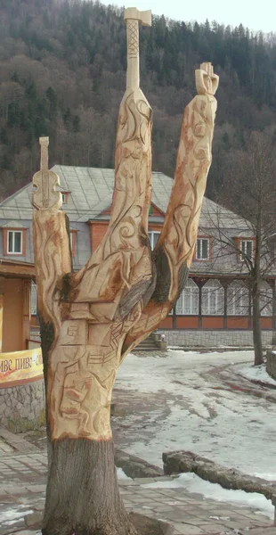 Ukraine Yaremcha Tree Three Branches — Stock Fotó