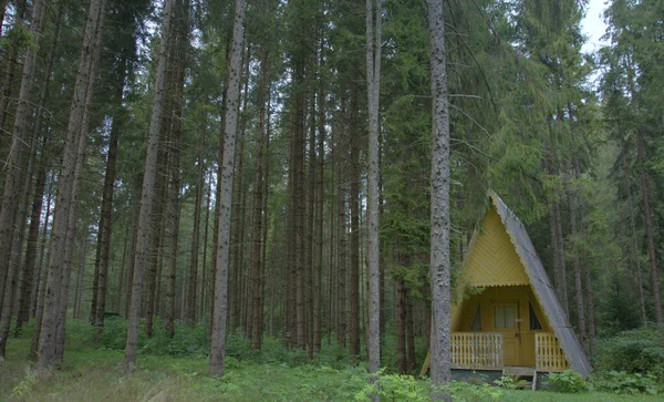 Ukraine Carpathians Tourist Shelter Deep Forest — 图库照片