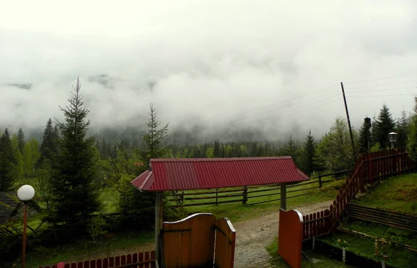 Ukraine Carpathians Field Road Mountains Fog — стоковое фото