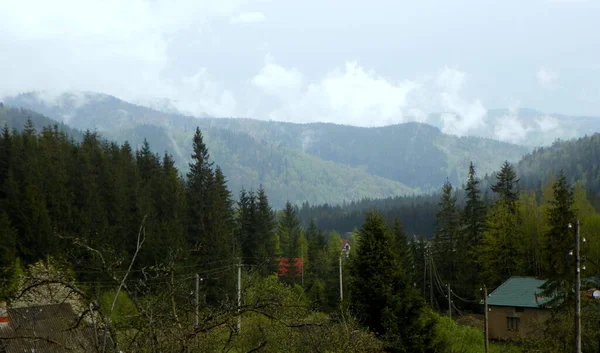 Ukraine Carpathians Typical Landscape High Mountains — Φωτογραφία Αρχείου