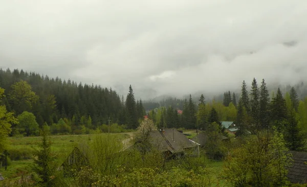 Ukraine Carpathians High Mountain Landscape Summer Cloudy Weather — Stockfoto