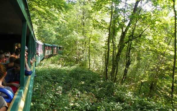 Ukraine Carpathians Nature Tourist Train — Stockfoto