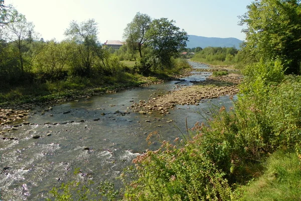 Ukraine Carpathians View Svicha River Train — Zdjęcie stockowe