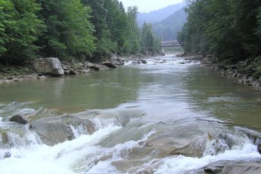 Ukrayna, Karpatlar, dağ nehri, kayalar ve doğa