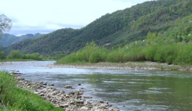 Ukrayna, Karpatlar, dağ nehri, kayalar ve doğa