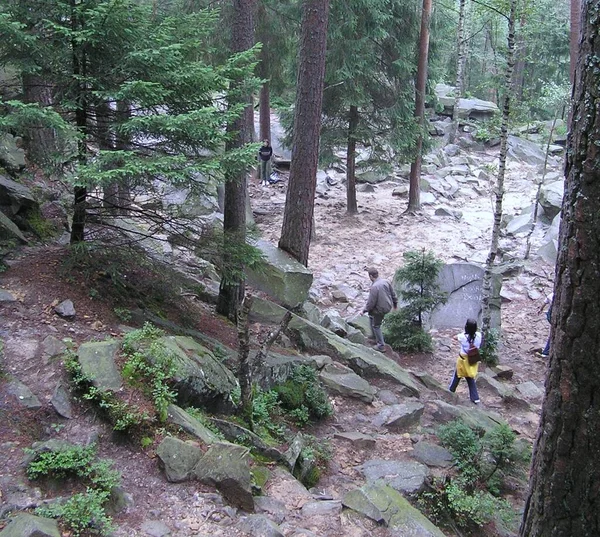 Ukraine Yaremcha Dovbush Rocks Nature Stones Forest — Stock fotografie