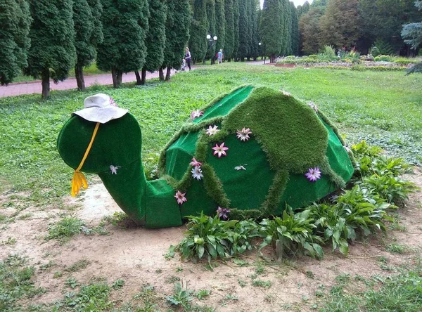 Ukraine Khmilnyk Parkgestaltung Grüne Schildkröte — Stockfoto