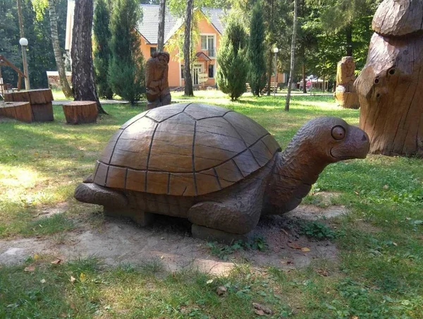 Ukraine Khmilnyk Park Design Wooden Turtle — Stockfoto