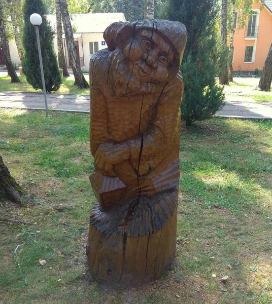 Ukraine Khmilnyk Park Design Wooden Gnome Figure — Stok fotoğraf