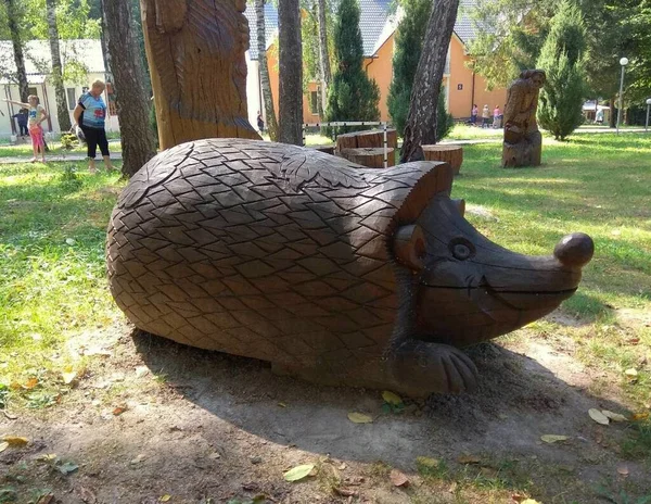 Ukraine Khmilnyk Park Design Wooden Hedgehog — Stockfoto