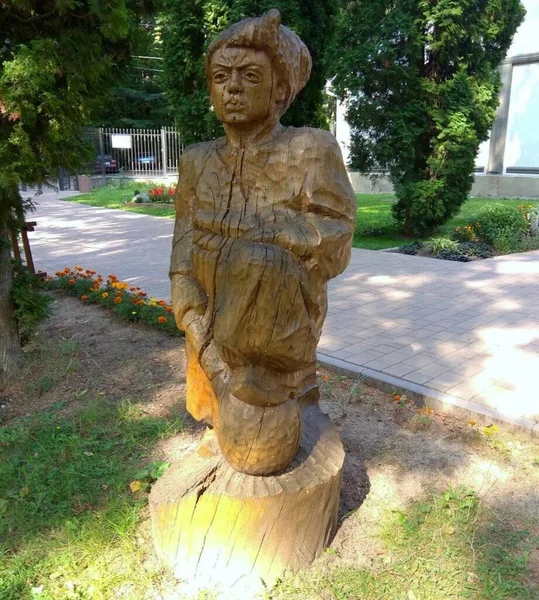 Ukraine Khmilnyk Park Design Wooden Cossack — Fotografia de Stock