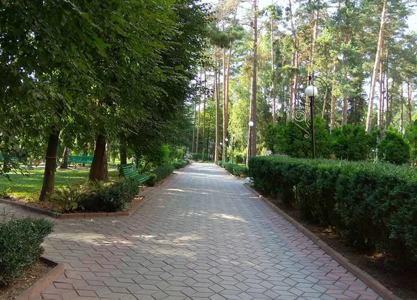 Ukraine Podillya Khmilnyk Alley Park — Stock Photo, Image