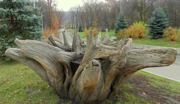 Ukraine Kyiv Park Feofaniya Wooden Sculpture — стокове фото