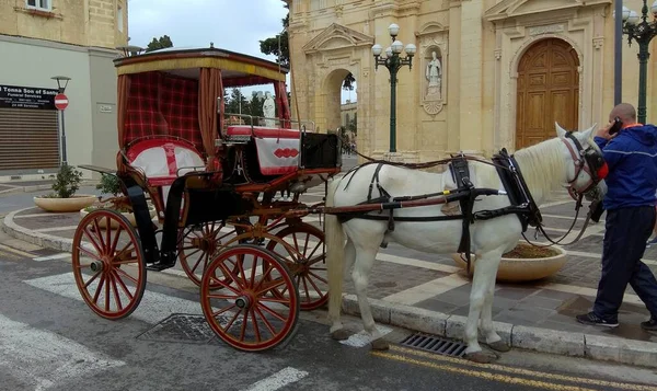 Malta Rabat Pjazza San Pawl Horse Drawn Carriage — Photo