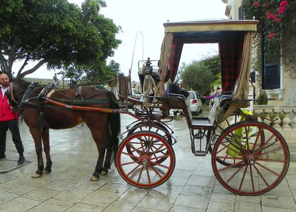 Malta Mdina Fortifications Mdina Walking Carriage Tourists — Photo