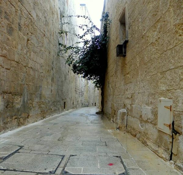 Malta Mdina Fortifications Mdina Streets Ancient City — ストック写真